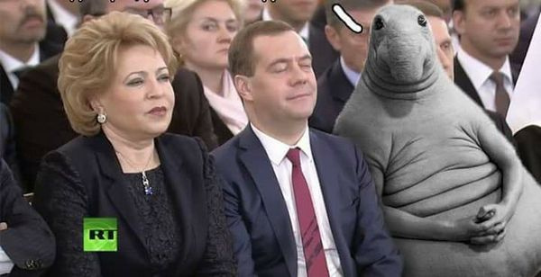 Ждун хочет о чем-то попросить Дмитрия Медведева Ждун хочет о чем-то попросить Дмитрия Медведева