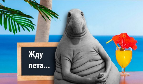 Мотивирующая картинка для середины зимы Мотивирующая картинка для середины зимы