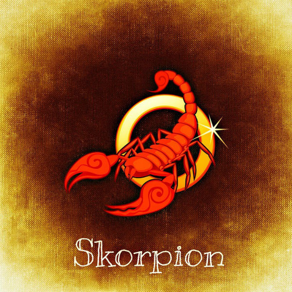 Скорпион Скорпион