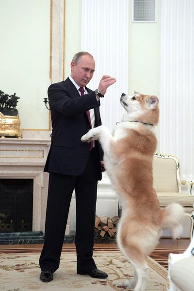 Владимир Путин продемонстрировал способности своего питомца