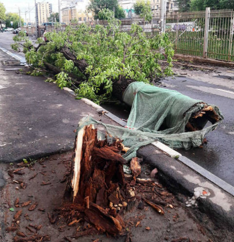 Ураган в Москве Ураган в Москве