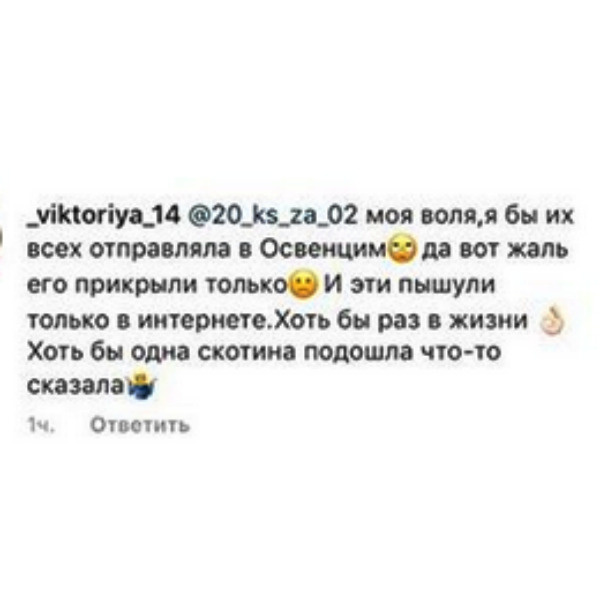 Комментарий, якобы принадлежавший Виктории Комментарий, якобы принадлежавший Виктории