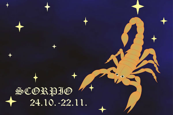Скорпион Скорпион