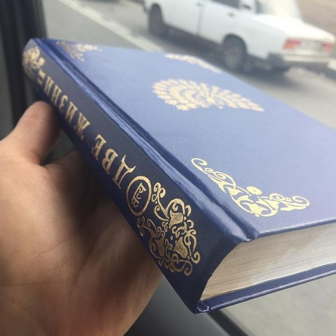 Надя Ручка показывает испорченную книгу Надя Ручка показывает испорченную книгу