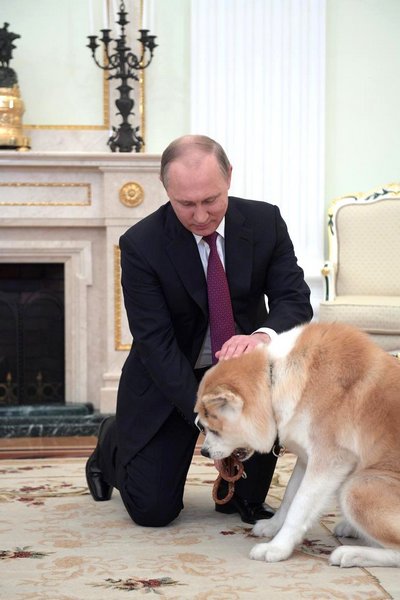 Юмэ подарили Путину в 2012 году