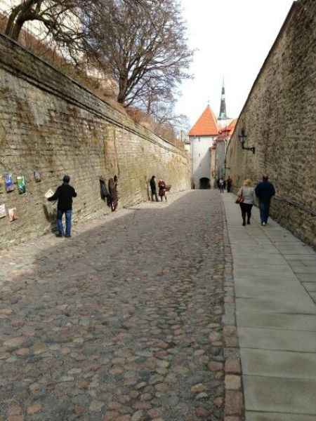 «Прогулка перед концертом», - подписала фото артистка «Прогулка перед концертом», - подписала фото артистка