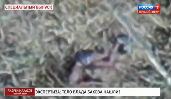Снимок предположительного трупа Бахова Снимок предположительного трупа Бахова