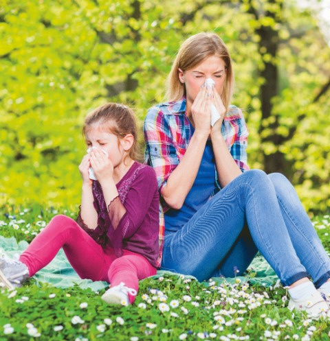 Внутренний конфликт: как подготовиться к весне, если вы – аллергик