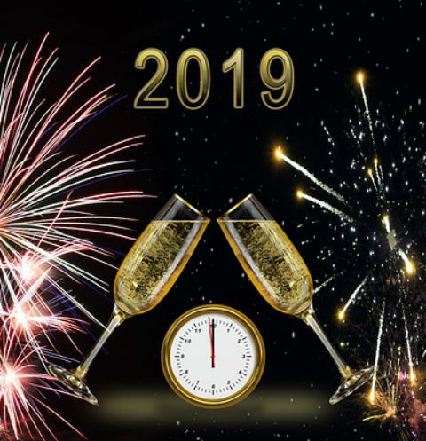 2019-й будет годом желтой земляной свиньи 2019-й будет годом желтой земляной свиньи