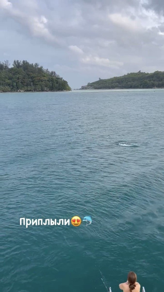 Дарья была рада увидеть дельфинов