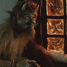 К Рождеству на большие экраны кинотеатров КАРО выйдет сказка «Вечера на Хуторе близ Диканьки»