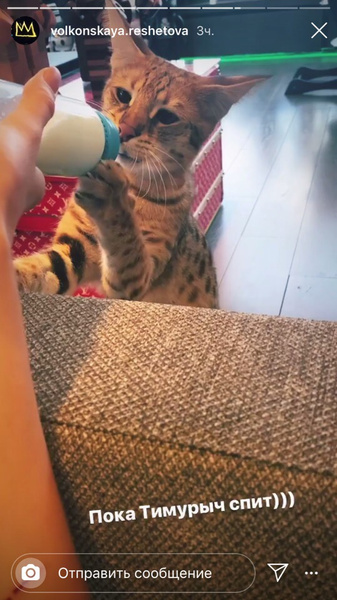 Модель кормит кошку из детской бутылочки