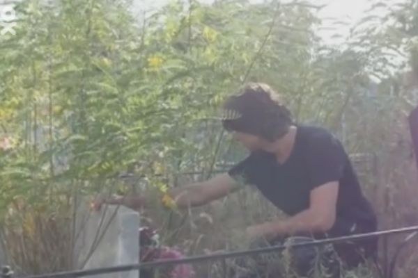 Недавно артист был на могиле бабушки