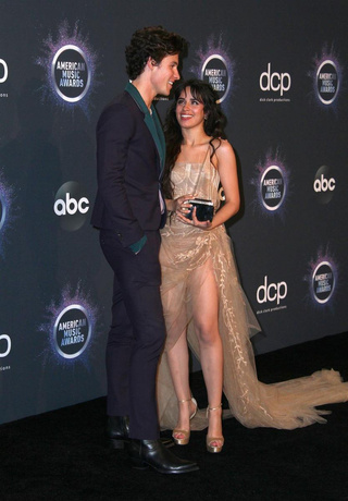 Дерзкое Мини Селены Гомес И Костюм Пчеловода Билли Айлиш: Премия American  Music Awards | Starhit.ru