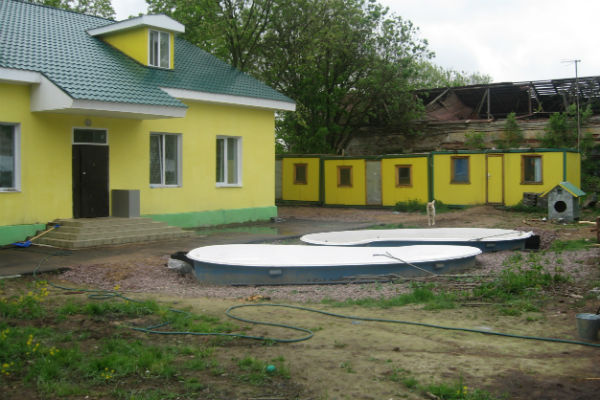 Центр «Велес» был основан в 2007 году, сначала тут помогали белькам