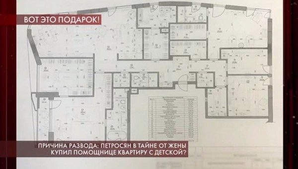 План квартиры, которая, по слухам, принадлежит новой жене Петросяна План квартиры, которая, по слухам, принадлежит новой жене Петросяна